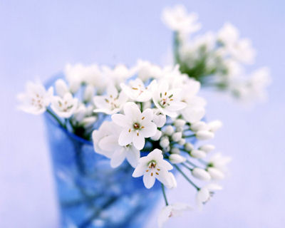 8march-1280111.jpg