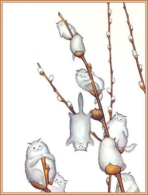 котики.jpg