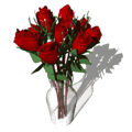 11693970_w9.gif