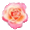 Мои цветы (1)
